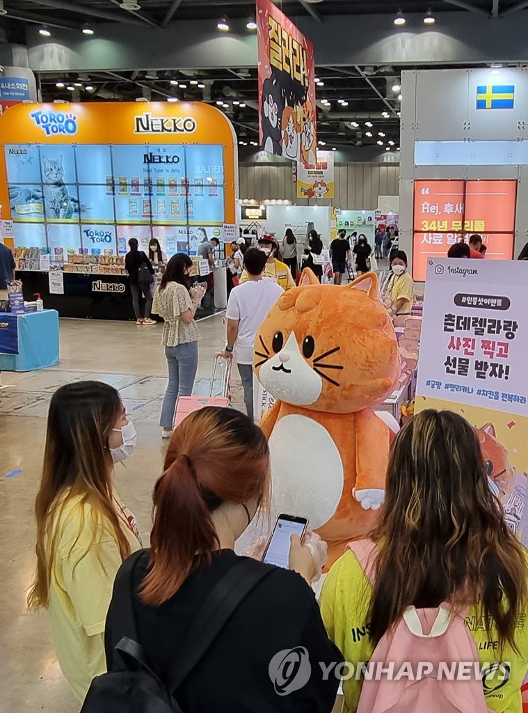 궁디팡팡 캣페스타