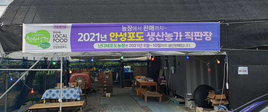 안성시, 포도 직판장 89곳에 지역 농가 인증 현수막 전달