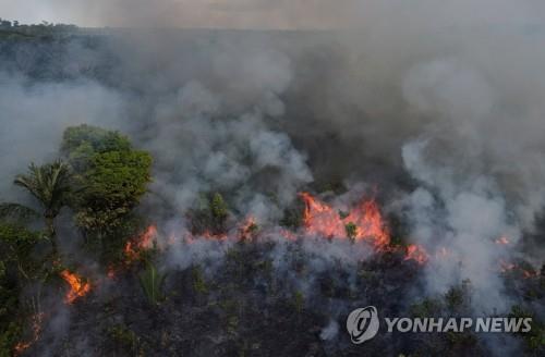 신음하는 지구의 허파…하루평균 축구장 3천300개 넓이 파괴