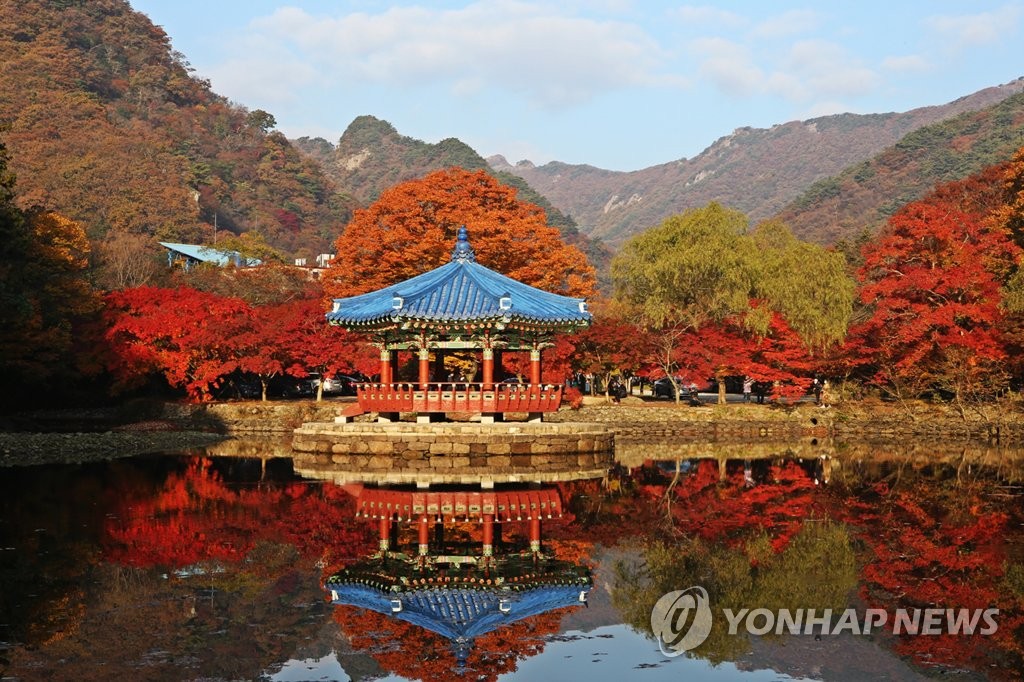 단풍 물든 정읍 내장산