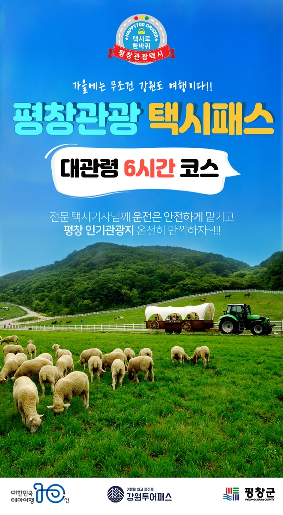 평창군 관광택시+투어패스 결합 패키지 상품 출시
