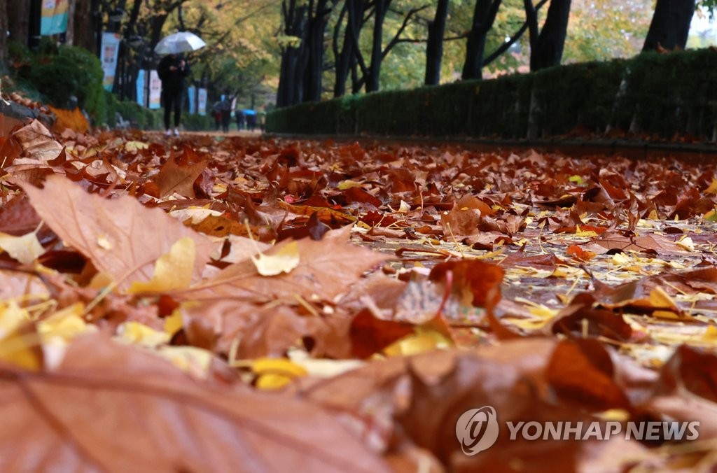 시나브로 왔다가 홀연히 사라지다
