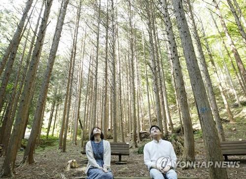 임실 성수산휴양림 레포츠+숲 야영장 공간으로 재탄생한다