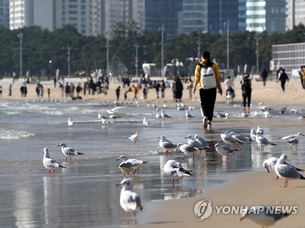 부산 포근한 날씨