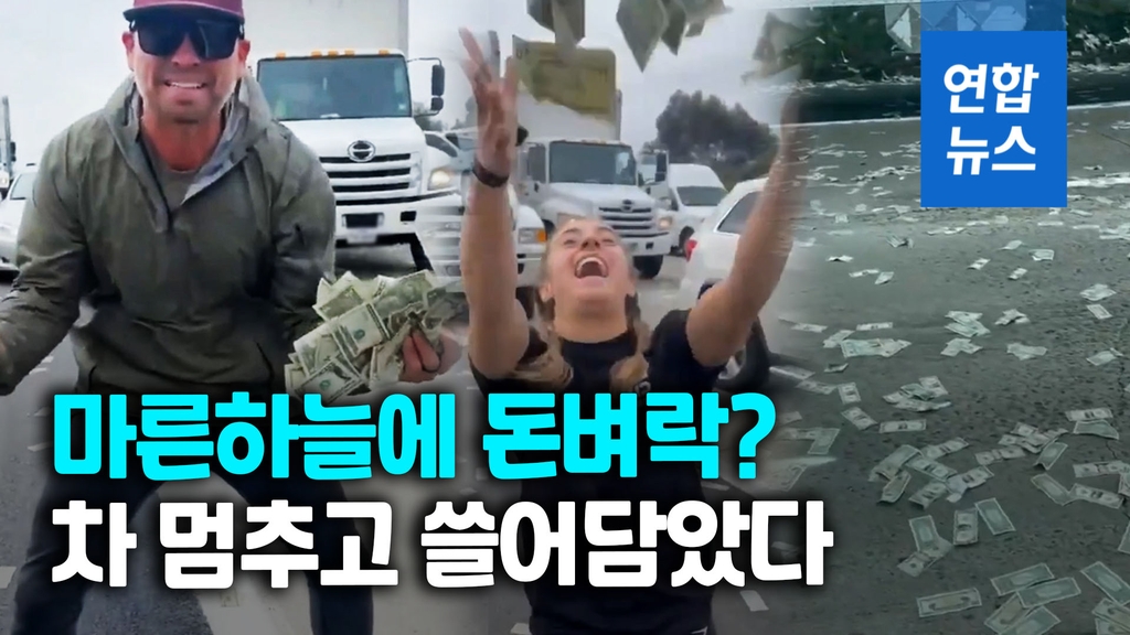 [영상] 하늘에서 현금이 비처럼?…미국 고속도로에 돈벼락 소동