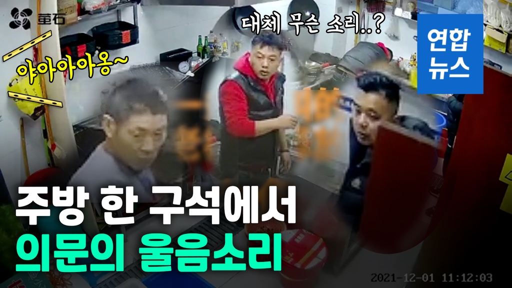 [영상] 애원하듯 야아~~옹…식당 주방서 들린 의문의 울음소리
