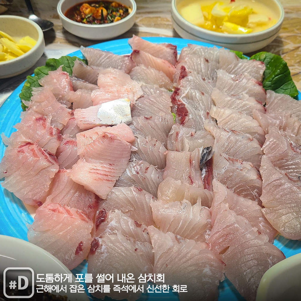 [여행honey] 삼치회에다 닭도 육회로…땅끝 해남의 특별한 맛