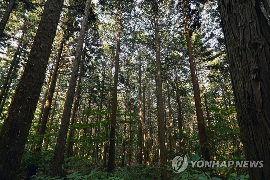 국립장성숲체원, 2022년 추천 웰니스 관광지 재선정