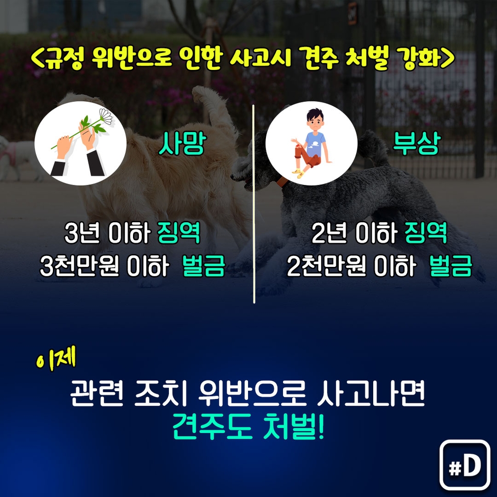 [포켓이슈] 견주 비상…목줄·가슴 줄 2ｍ 이내여야