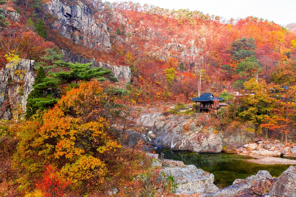 영덕 옥계 침수정 일원 명승 지정…풍광 수려, 희귀식물 자생