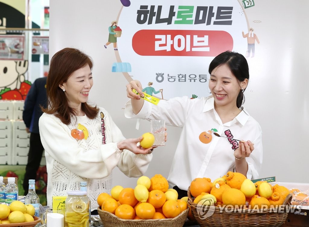 청정 제주 농산물 집에서 편하게 쇼핑하세요