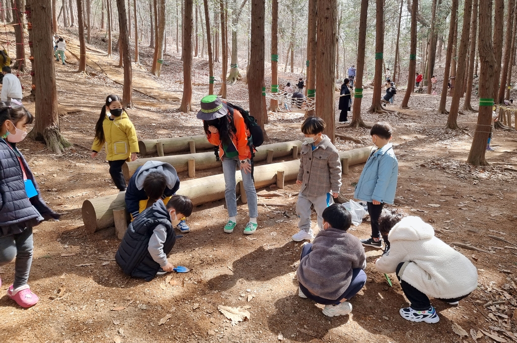 놀며 상상력 키워요…전주시, 6개 어린이 숲체험장 운영