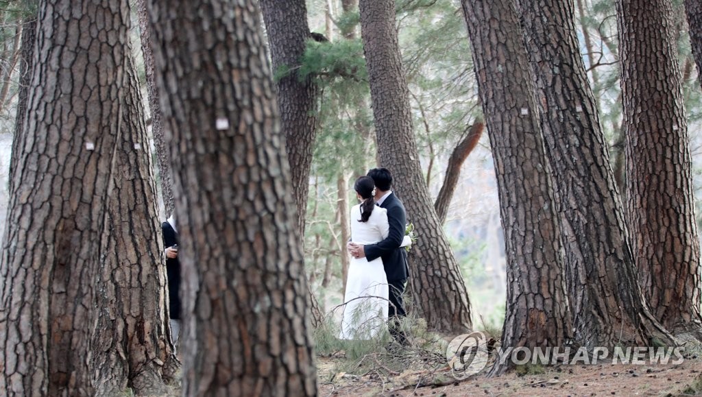 소나무 숲에서 담는 사랑