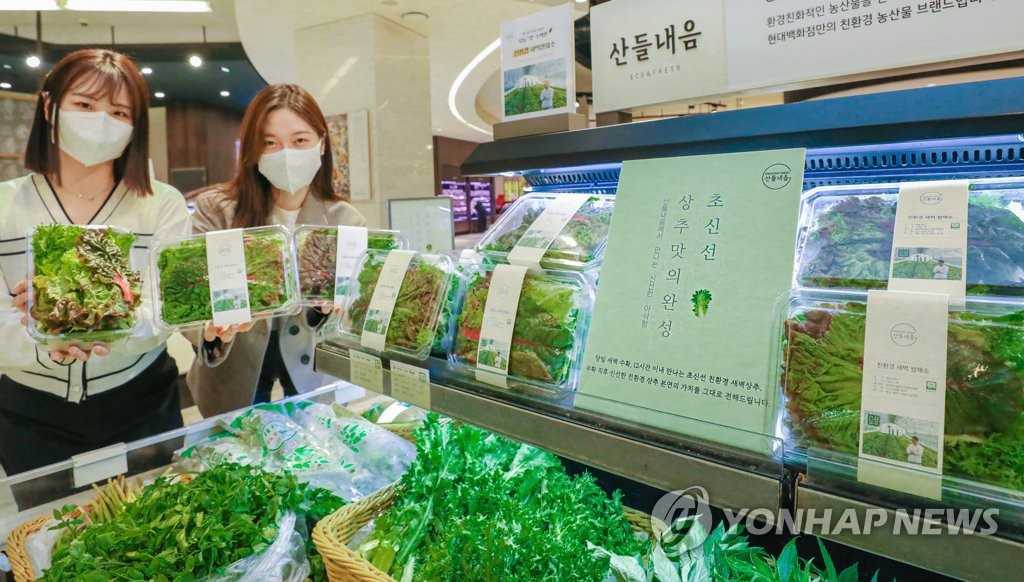 현대그린푸드, 당일 수확 친환경 쌈채소 판매