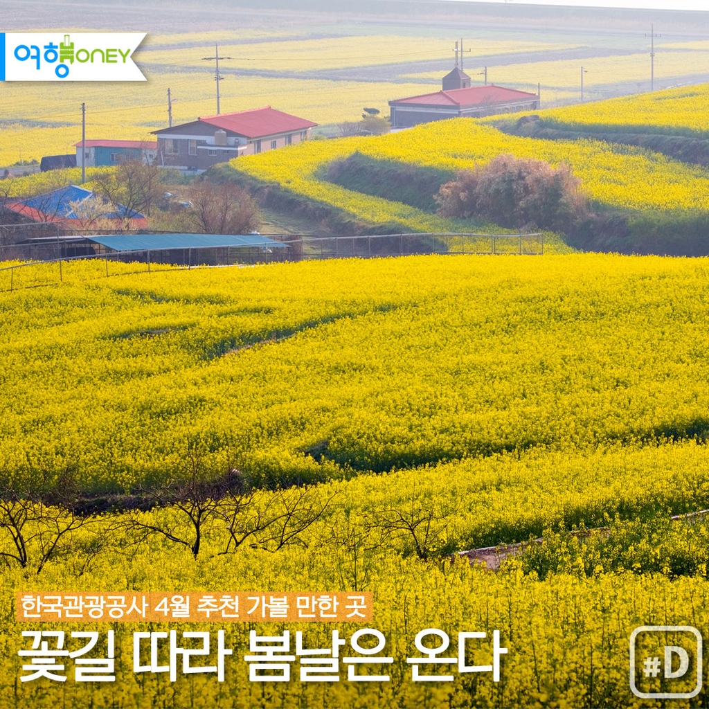 [여행honey] 꽃길 따라 봄날은 온다