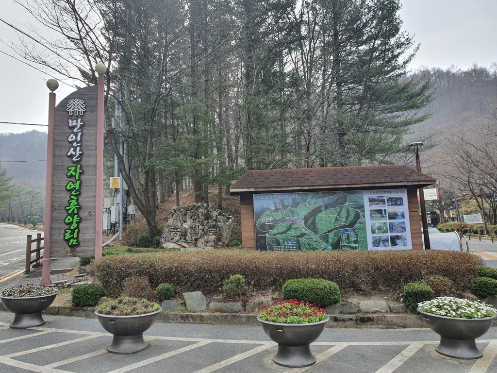 대전 만인산 자연휴양림 다음 달부터 정상 운영