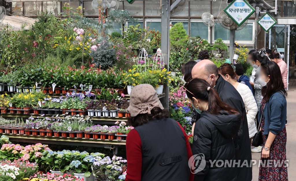 날씨가 좋아 찾은 꽃시장