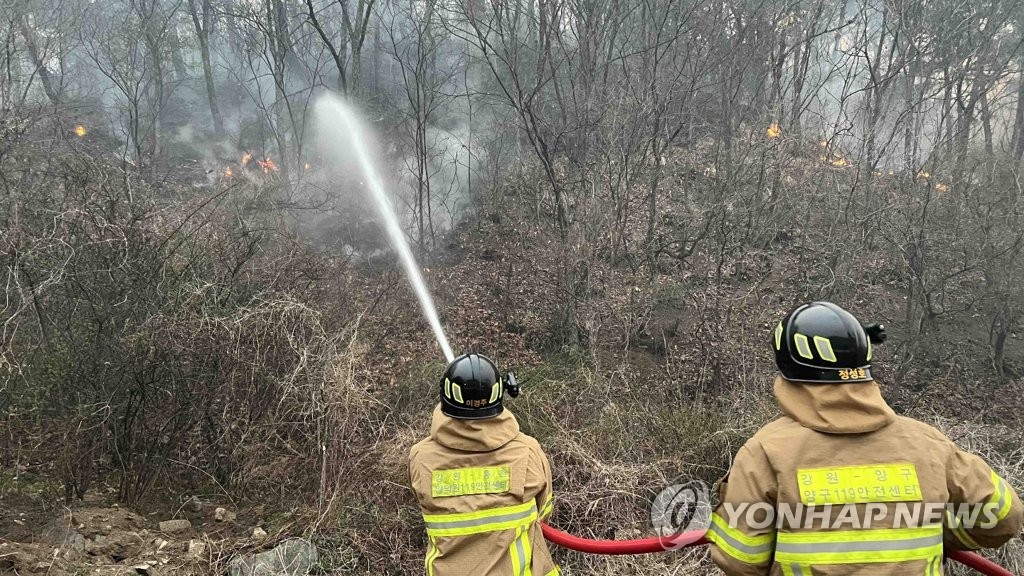 양구 산불 이틀째 진화