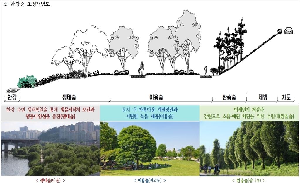 서울시, 올해 한강공원에 나무 8만 그루 식재