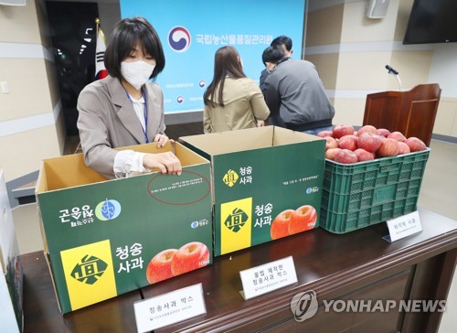 가짜 청송사과 홈쇼핑 등서 판매…박스갈이 수법도(종합)