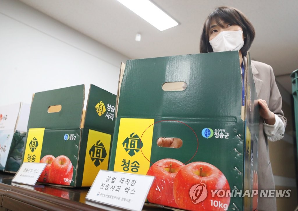 가짜 청송사과·사과즙 350t 유통