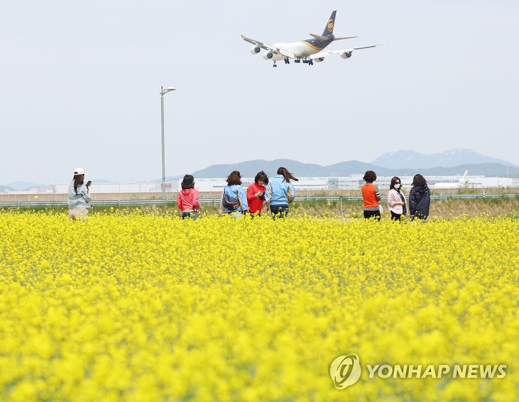 유채꽃과 비행기를 함께 볼 수 있는 하늘정원