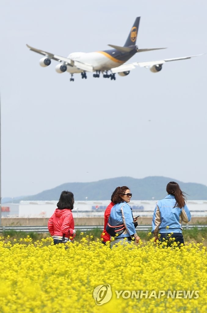 유채꽃과 비행기를 함께 볼 수 있는 하늘정원