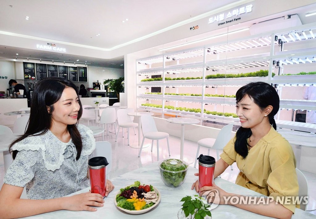 홈플러스, 월드컵점에 스마트팜 카페 선보여