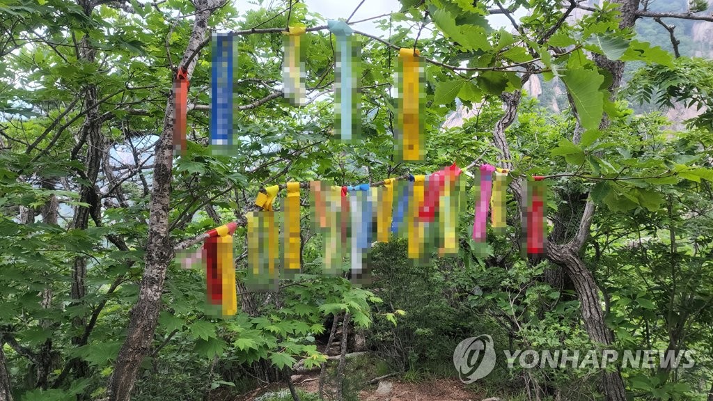 등산로에 달린 리본