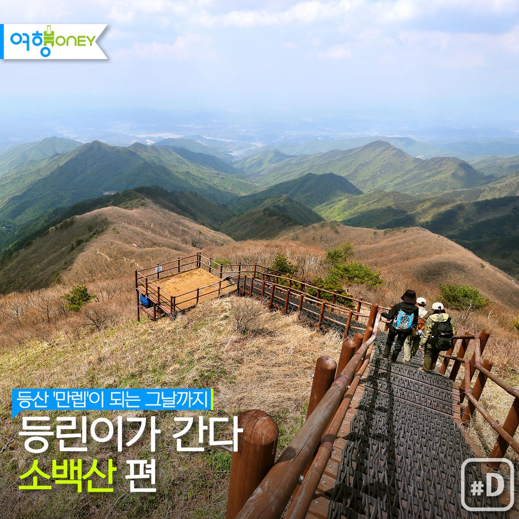 [여행honey] 등린이가 간다 - 소백산 편