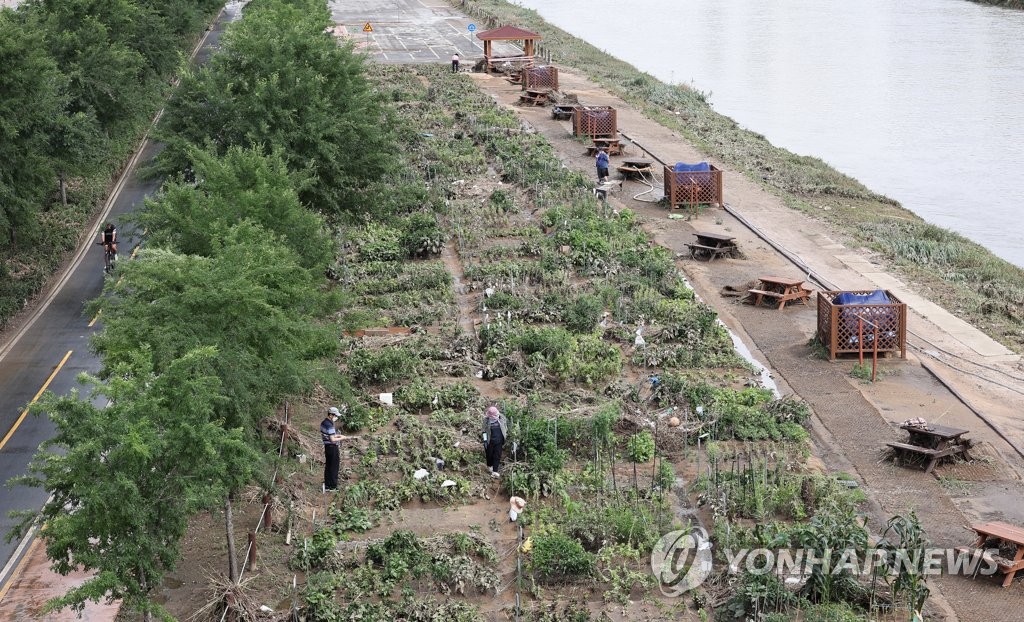 폭우에 망가진 도시 텃밭