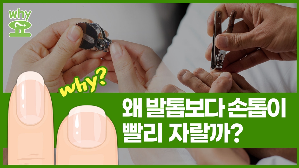 [Why요?] 왜 발톱보다 손톱이 빨리 자랄까?