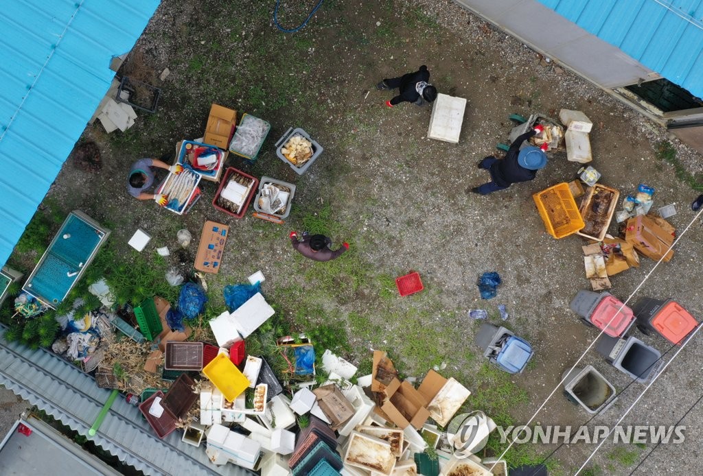 부도난 수산업체서 생선 처리