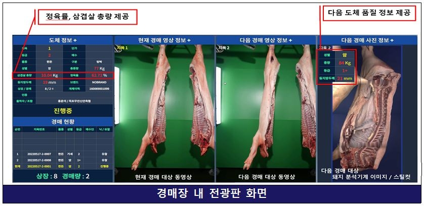 나주 축산물공판장서 온라인 경매 시작…연내 3곳 추가 도입