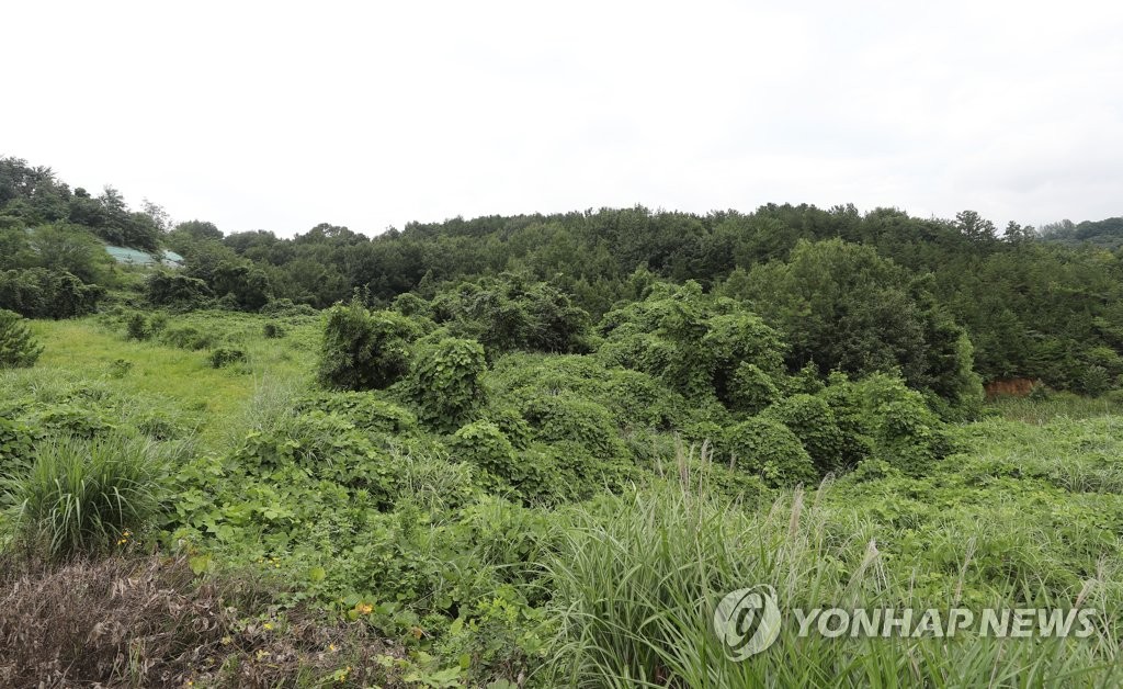 광주 복합쇼핑몰 대상지 거론된 어등산