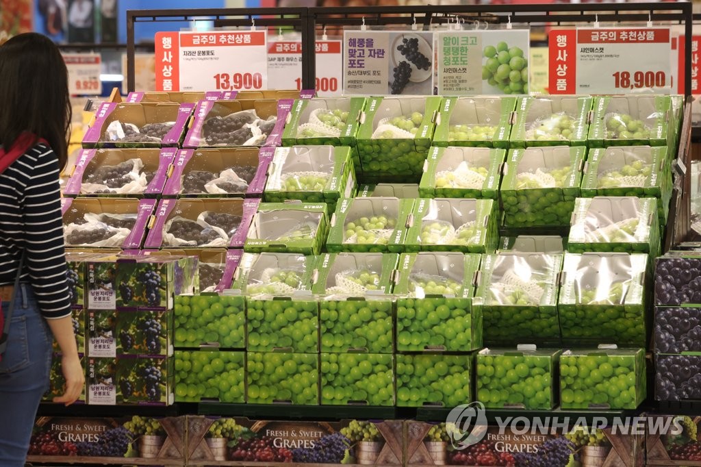 과일 살펴보는 시민