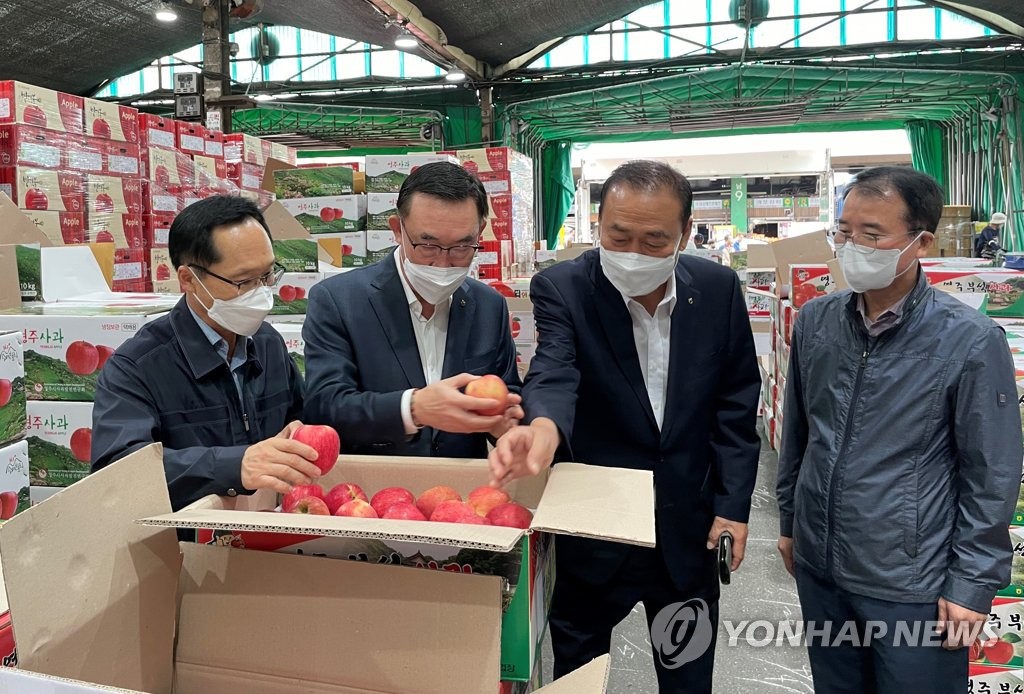 농협경제지주, 가락공판장에서 추석 농산물 수급 상황 점검