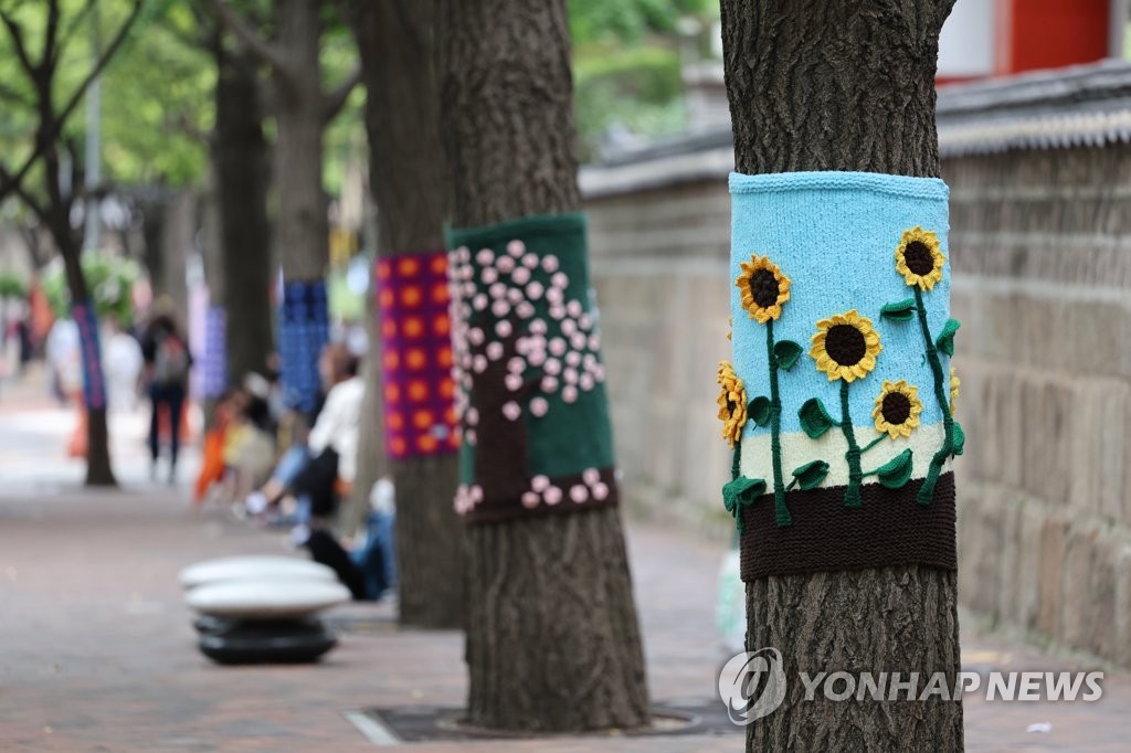 덕수궁 돌담길 나무에 손뜨개 옷