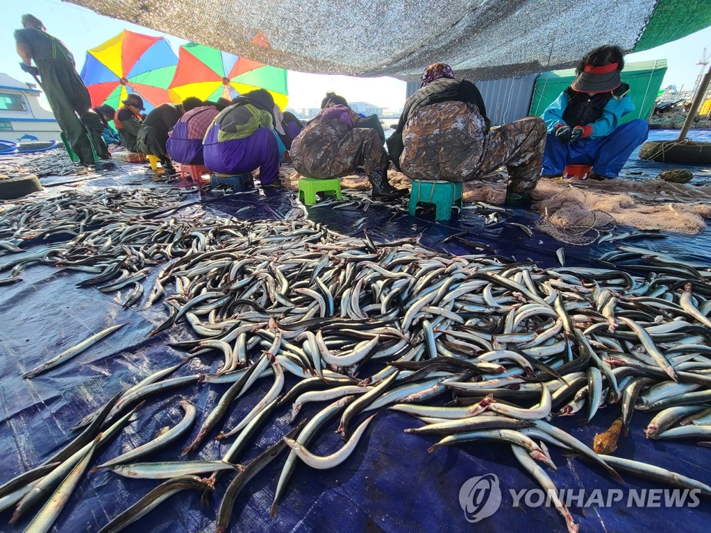 반갑다 양미리