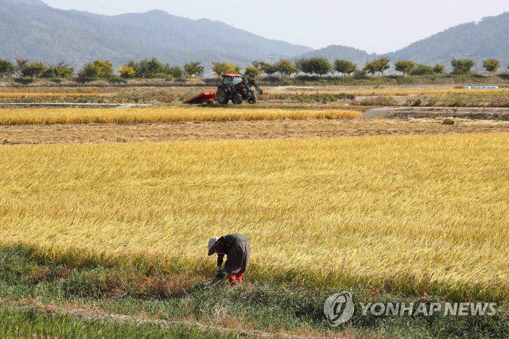 황금들녘의 농부