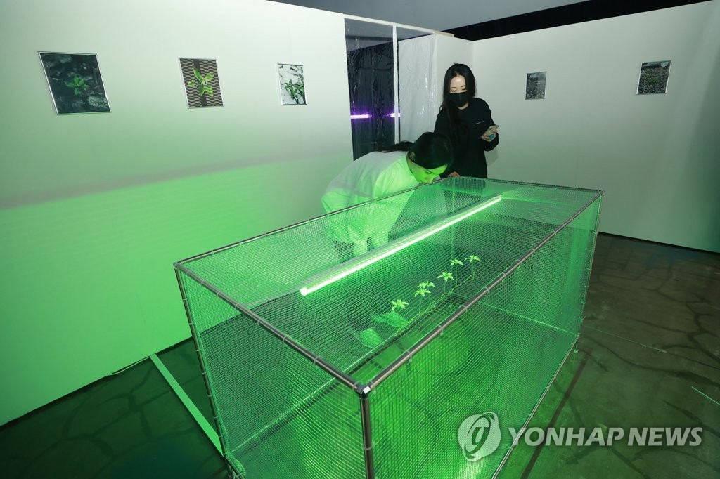 프로젝트 팀 펄의 융복합 에술 프로젝트 당신의 현재 위치 - 더 도어