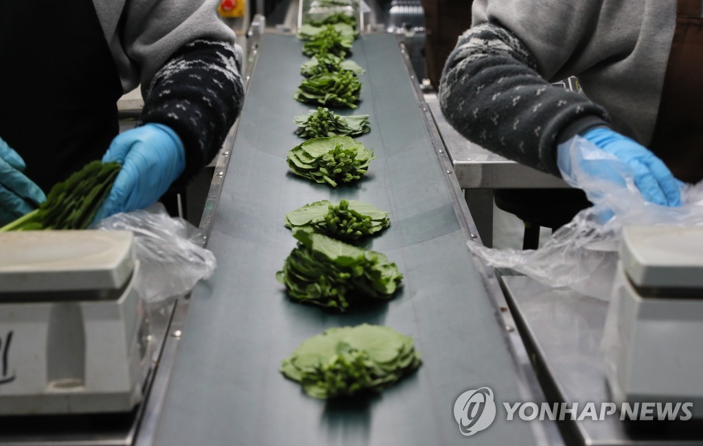 스마트해지는 농산물 유통…온라인 거래소도 연다