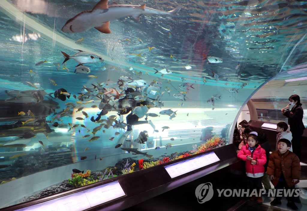 여기가 국립해양박물관 수족관
