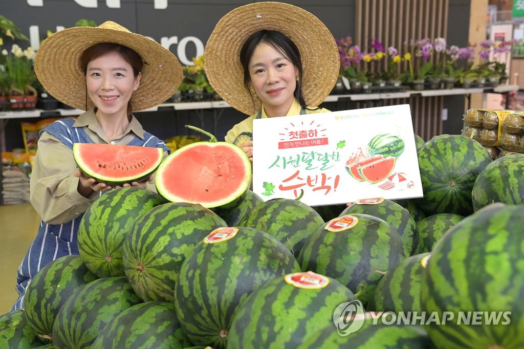 농협 하나로마트, 함안 봄 수박 첫 출하