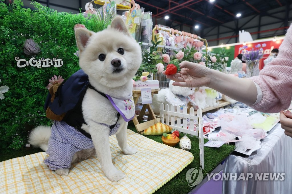 반려동물은 가족 펫이코노미 시대…1인당 35만원 카드 지출