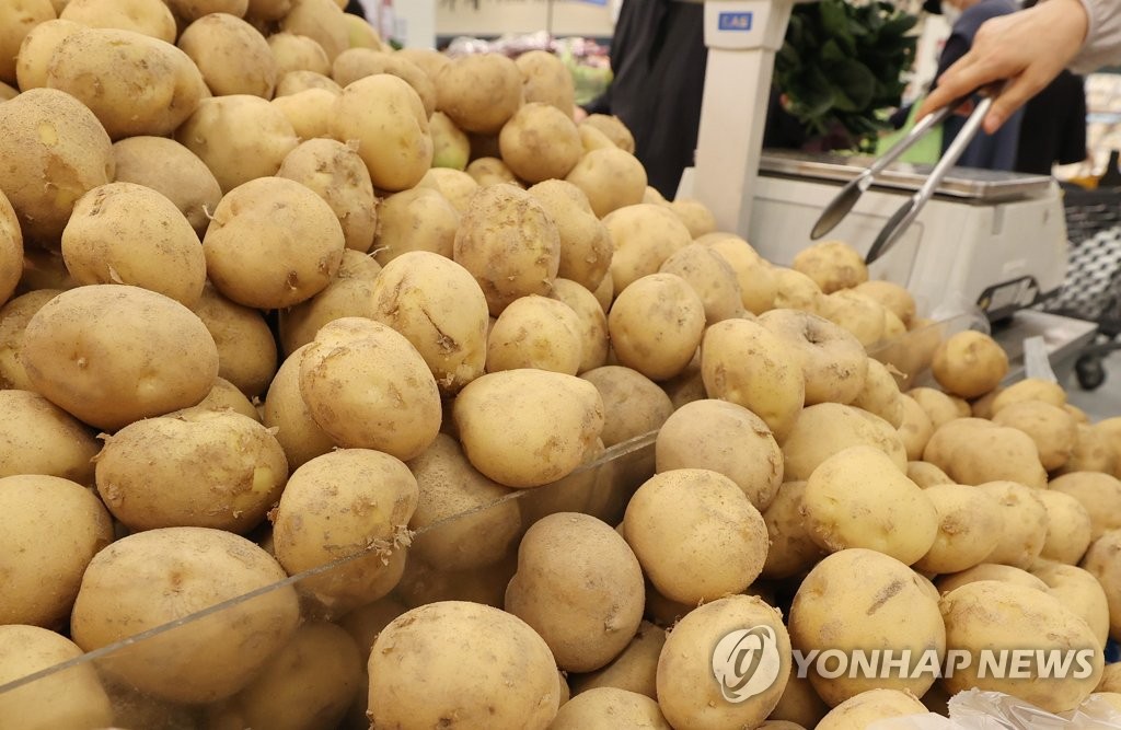 무·양파·감자값, 내달도 강세