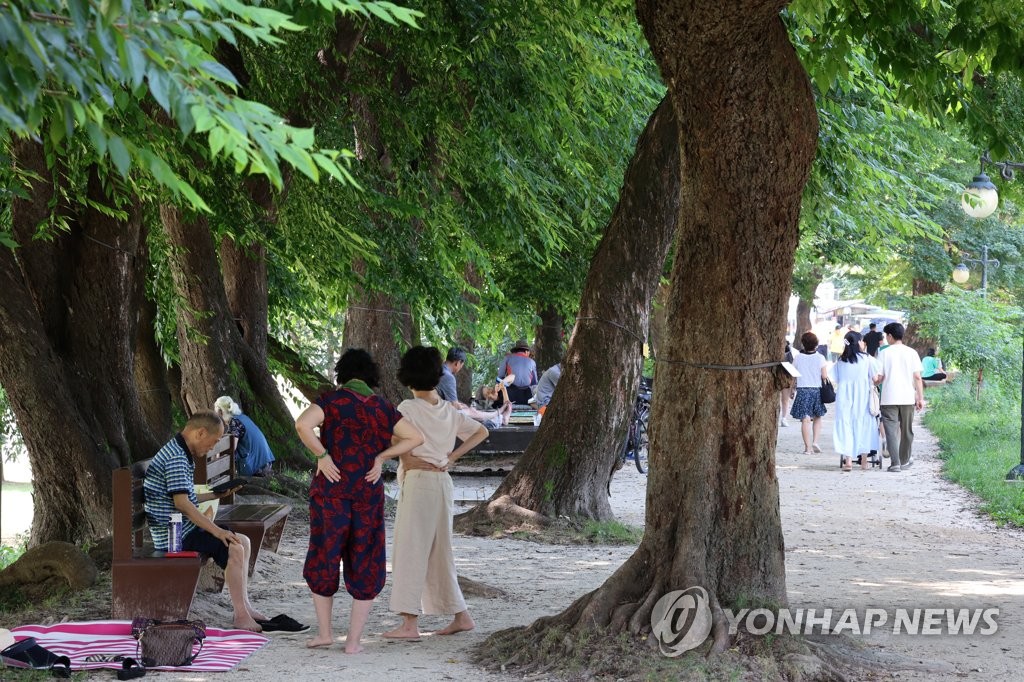 시원한 나무 그늘 아래로