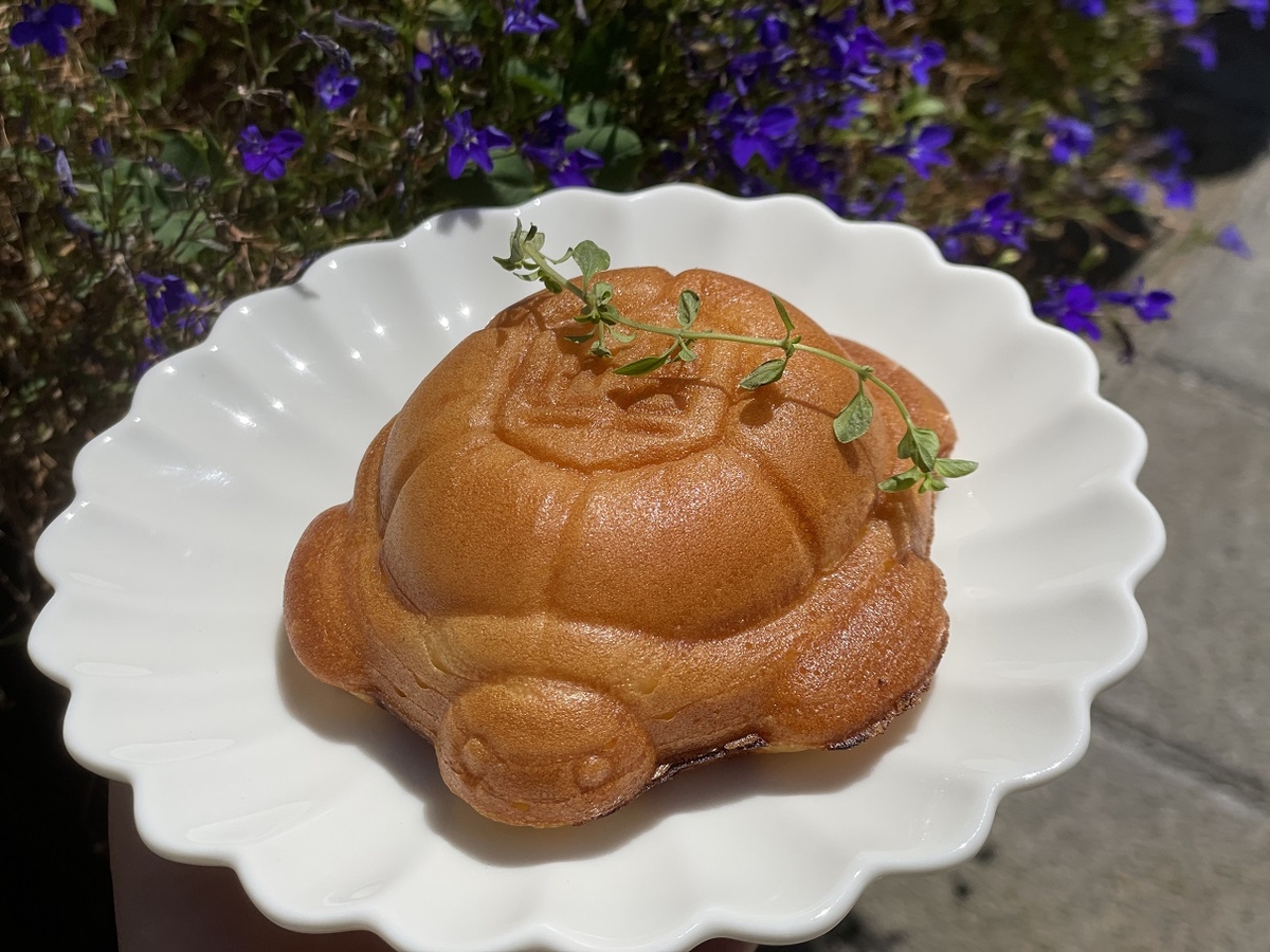 거북빵·라벤더 아이스크림 맛은…동해 거북당 플랫폼 개소