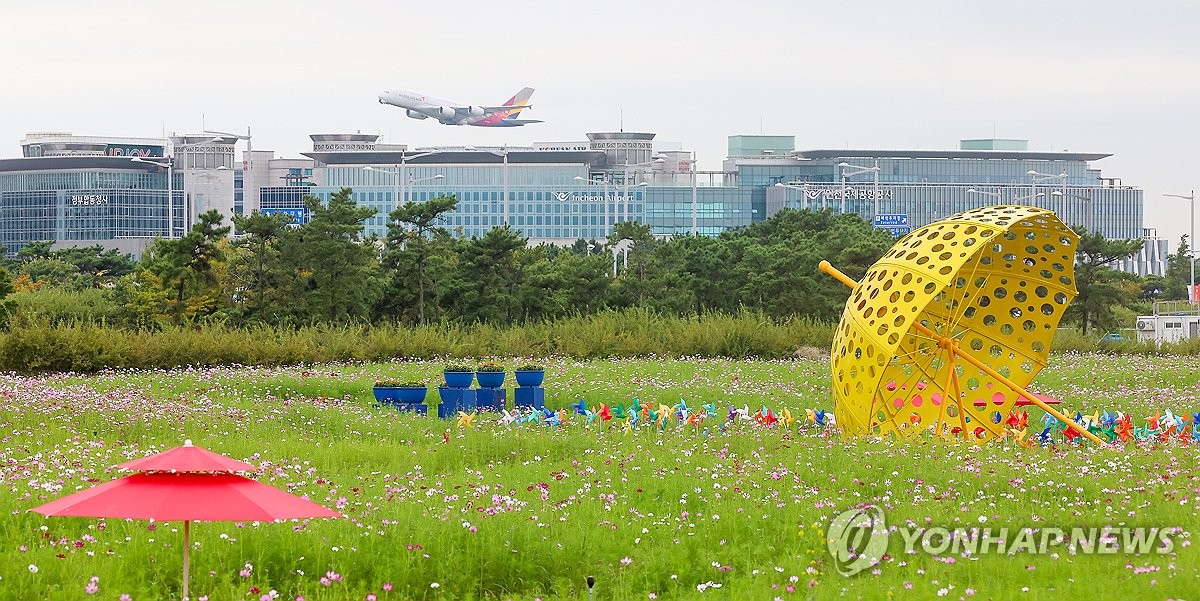 인천공항 하늘정원 코스모스 꽃밭, 다음 달 9일까지 개방