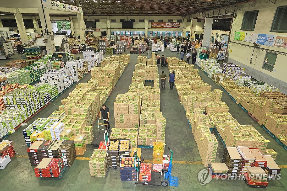 추석 대목 과일 경매 활발
